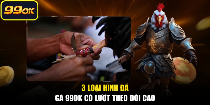 3 loại hình đá gà 99OK có lượt theo dõi cao