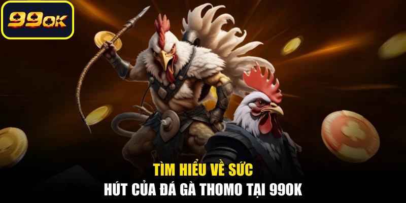 Tìm hiểu về sức hút của đá gà Thomo tại 99OK